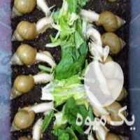 فروش شغل خانگی و پر سود پرورش و تکثیر حلزون در سمنان در گروه سرمایه گذار در تولید محصولات کشاورزی و دامداری در یکمیوه