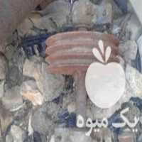 فروش لوازم کشاورزی و چاه آبیاری در بوکان در گروه خرید فروش اتصالات و تجهیزات آبیاری - شیر لوله نوار در یکمیوه