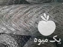 فروش تولید توری حصاری فنس و گابیون سیم خاردار در لاهیجان در گروه خرید فروش لوازم باغبانی - خرید فروش نو دست دوم در یکمیوه -عکس1