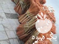 فروش جارو محلی درجه 1 در کردکوی در گروه خرید فروش عمده سایر محصولات زراعی سر زمین در یکمیوه -عکس1