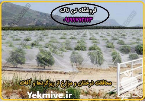 فروش توری ضد سرما درختان در مشهد در گروه خرید فروش انواع پوشش ها و ورق ها - پلی استر پلی کربنات نایلون در یکمیوه -عکس1