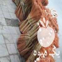 فروش جارو محلی درجه 1 در کردکوی در گروه خرید فروش عمده سایر محصولات زراعی سر زمین در یکمیوه