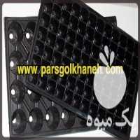 فروش سینی نشاء گلخانه در تهران در گروه خرید فروش نشا - انواع گوجه برنج کاهو پیاز کاری فرنگی در یکمیوه