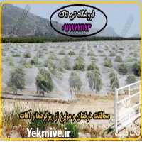 فروش توری ضد سرما درختان در مشهد در گروه خرید فروش انواع پوشش ها و ورق ها - پلی استر پلی کربنات نایلون در یکمیوه