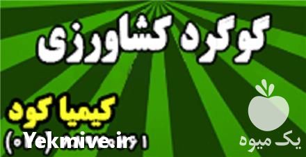 فروش گوگرد کشاورزی در تهران در گروه خرید فروش کود و مواد شیمیایی - اوره پتاس مرغی کمپوست آهن در یکمیوه -عکس1