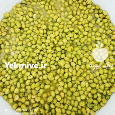 زیتون کنسروی در تهران در گروه خرید فروش عمده زیتون - سبز سیاه بندری پاکستانی طارم در یکمیوه -عکس1