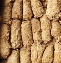 تنباکو برازجانی در بوشهر در گروه خرید فروش عمده سایر محصولات زراعی سر زمین در یکمیوه