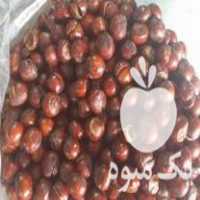 فروش فندق خام مغز بوداده در رحیم آباد در گروه فندق - فروش عمده محصولات کشاورزی در یکمیوه