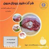 فروش لاشه بوقلمون در تهران در گروه مرغ و خروس و بوقلمون و اردک قو قاز در یکمیوه