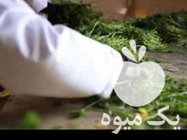 فروش سبزی پاک کرده عمده ای در باقرشهر در گروه خرید فروش عمده سبزی های برگی - خوردن آش کوکو دلمه قورمه در یکمیوه -عکس1