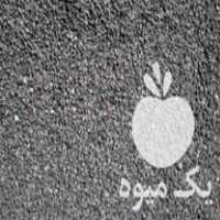 فروش بذر پیاز زرد در بجنورد در گروه خرید فروش عمده پیاز - قرمز سفید زرد ترشی تازه انباری در یکمیوه