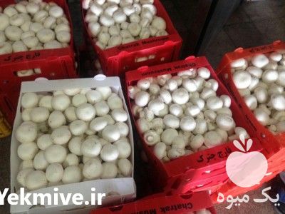 فروش کارتن پلاست در تهران در گروه خرید فروش انواع بسته بندی کاغذی - کارتن مقوا در یکمیوه -عکس1