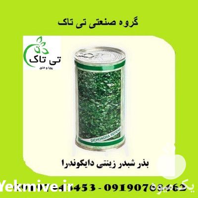 فروش بذر چمن عروس در تهران در گروه خرید فروش بذر - انواع محصول کشاورزی گوجه کتان میوه درخت در یکمیوه -عکس1