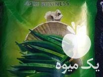 فروش بذر بامیه بسته ای در پیشین در گروه خرید فروش بذر - انواع محصول کشاورزی گوجه کتان میوه درخت در یکمیوه -عکس1