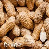 فروش بادام زمینی مغان در پارس آباد در گروه بادام - درختی کوهی زمینی فروش عمده در یکمیوه