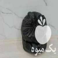 فروش ذغال کبابی مرغوب سنگین در اصفهان در گروه خرید فروش عمده چوب- زغال چوب گردو تبریزی خام در یکمیوه