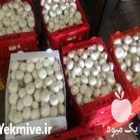 فروش کارتن پلاست در تهران در گروه خرید فروش انواع بسته بندی کاغذی - کارتن مقوا در یکمیوه