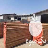 فروش چوب راش گرجستان در تهران در گروه خرید فروش عمده چوب- زغال چوب گردو تبریزی خام در یکمیوه