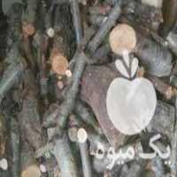 فروش چوب هیزمی برای سوختن در تهران در گروه خرید فروش عمده چوب- زغال چوب گردو تبریزی خام در یکمیوه