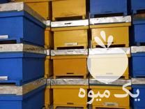 فروش لوازم زنبور داری در آمل در گروه زنبورعسل - زنبورداری نوین صنعتی مدرن کندو در یکمیوه -عکس1