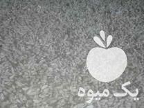 فروش تخم نارنج تازه تازه در ساری در گروه خرید فروش عمده نارنج - میوه شمال جنوب خرید و فروش عمده در یکمیوه -عکس1