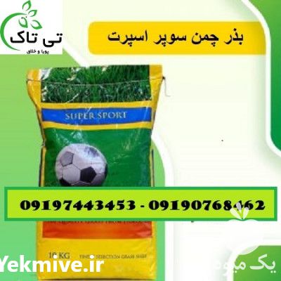 فروش بذر چمن سوپر اسپرت پنچ تخم آلمانی در زنجان در گروه خرید فروش بذر - انواع محصول کشاورزی گوجه کتان میوه درخت در یکمیوه -عکس1