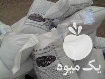 فروش ویژه غذای مخصوص کپور وبچه ماهی گرمابی در بیجار در گروه انواع ماهی - سالمون شیر کپور قرمز شوریده سفید گوپی مرکب در یکمیوه -عکس1