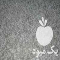 فروش تخم نارنج تازه تازه در ساری در گروه خرید فروش عمده نارنج - میوه شمال جنوب خرید و فروش عمده در یکمیوه