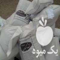 فروش ویژه غذای مخصوص کپور وبچه ماهی گرمابی در بیجار در گروه انواع ماهی - سالمون شیر کپور قرمز شوریده سفید گوپی مرکب در یکمیوه