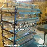 تولید و فروش قفس بلدرچین آذربرزین در کرج در گروه تجهیزات دام و طیور - خرید فروش نو دسته دوم در یکمیوه