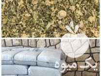 فروش خوراک و علوفه دام در سبزوار در گروه خوراک دام و طیور - پرواری شیری علوفه یونجه در یکمیوه -عکس1