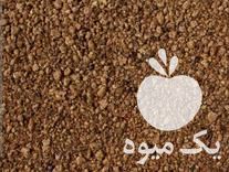 خریدار کنجاله کلزا در اصفهان در گروه خرید فروش عمده کلزا - روغنی خوزستان مازندران کاشت دانه در یکمیوه -عکس1