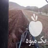 فروش گاوآهن سه خیش ترکیه ای در آلونی در گروه خرید فروش ماشین آلات کشاورزی - تراکتور تیلر کمباین مدرن در یکمیوه