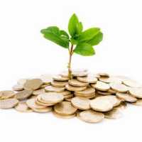 سرمایه گذاری در بخش کشاورزی و دامپروری در مشهد در گروه سرمایه گذار در تولید محصولات کشاورزی و دامداری در یکمیوه