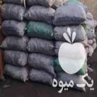فروش زغال‌ انگور انبه تخته و باغی در تهران در گروه خرید فروش عمده چوب- زغال چوب گردو تبریزی خام در یکمیوه