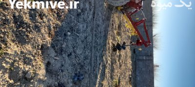 دستگاه چاله کن گیربکس ترک بزرگ در البرز در گروه خرید فروش ابزار ها و تجهیزات کشاورزی - دستی برقی ماشینی بیل کلنگ در یکمیوه -عکس2