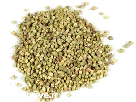 فروش ادویه اورگانو وارداتی Oregano در تهران در گروه ادویه - ترشی کاری ادویه جات خشک در یکمیوه -عکس1