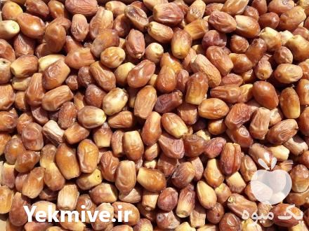 فروش خرمای زاهدی درجه یک در فراشبند در گروه خرید فروش عمده خرما - کبکاب تازه زاهدی خشک خارک در یکمیوه -عکس1