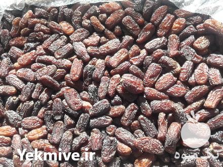 فروش عمده خرمای پیارم در فراشبند در گروه خرید فروش عمده خرما - کبکاب تازه زاهدی خشک خارک در یکمیوه -عکس1