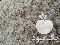 فروش فل ریز سوب یا کپک برنج دانه دار کیسه پر وسنگین در آستانه اشرفیه در گروه خرید فروش عمده برنج - نیم دانه عنبر بو هاشمی کاظمی هندی پاکستانی در یکمیوه -عکس1