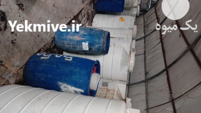 زیتون طارم روغن زیتون در چورزق در گروه خرید فروش عمده زیتون - سبز سیاه بندری پاکستانی طارم در یکمیوه -عکس3