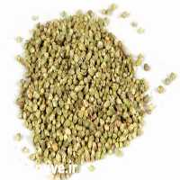 فروش ادویه اورگانو وارداتی Oregano در تهران در گروه ادویه - ترشی کاری ادویه جات خشک در یکمیوه