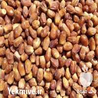 فروش خرمای زاهدی درجه یک در فراشبند