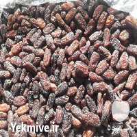 فروش عمده خرمای پیارم در فراشبند