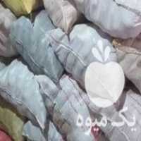 فروش سیب زمینی آگریا وبانبا در همدان در گروه خرید فروش عمده سیب زمینی - زودرس دیررس آگریا اسپریت اردبیل همدان در یکمیوه