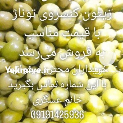 زیتون کنسروی و شکسته در آب بر در گروه خرید فروش عمده زیتون - سبز سیاه بندری پاکستانی طارم در یکمیوه -عکس2