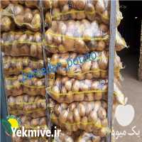 فروش سیب زمینی در اصفهان در گروه خرید فروش عمده سیب زمینی - زودرس دیررس آگریا اسپریت اردبیل همدان در یکمیوه