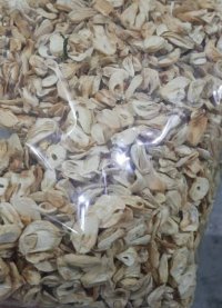 سیر خشک شده ایسلایسی در صفادشت در گروه خرید فروش عمده سیر - تازه خام ترشی خشک صادراتی در یکمیوه