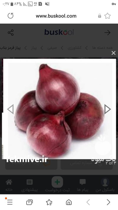 خرید و فروش عمده پیاز در مازندران در گروه خرید فروش عمده پیاز - قرمز سفید زرد ترشی تازه انباری در یکمیوه -عکس1