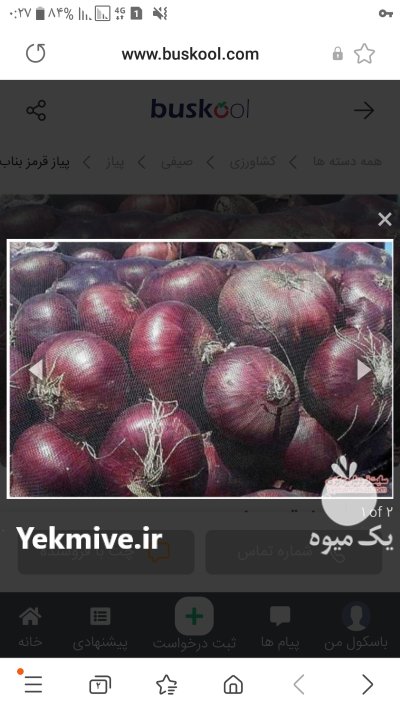 خرید و فروش عمده پیاز در مازندران در گروه خرید فروش عمده پیاز - قرمز سفید زرد ترشی تازه انباری در یکمیوه -عکس3